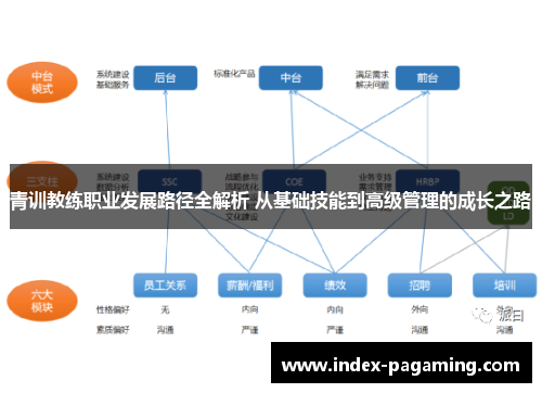 青训教练职业发展路径全解析 从基础技能到高级管理的成长之路
