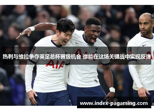 热刺与维拉争夺英足总杯晋级机会 谁能在这场关键战中实现反弹